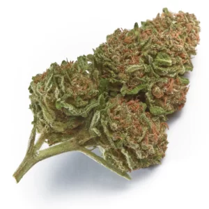 wabanaki cannabis strain uk